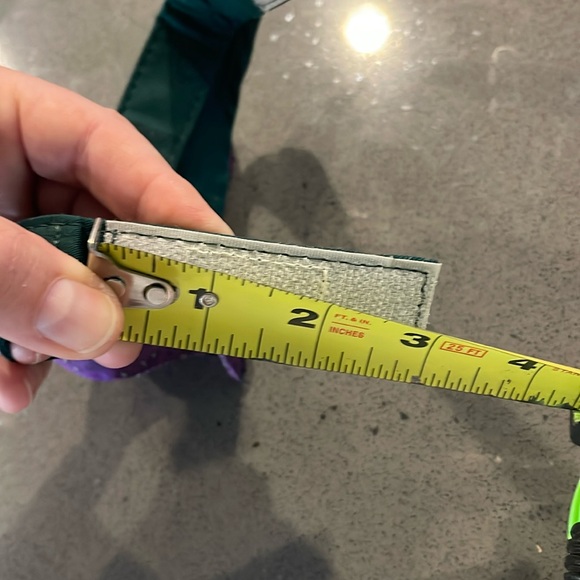 Disney Pet Collar * Haunted Mansion Bow * NWOT - Picture 5 of 5